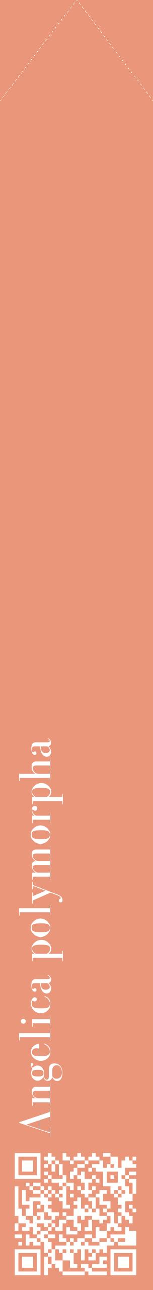 Étiquette de : Angelica polymorpha - format c - style blanche37_simplebod avec qrcode et comestibilité