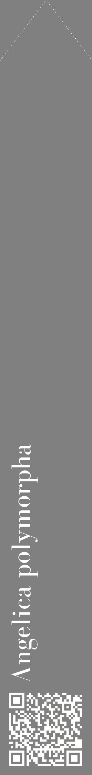 Étiquette de : Angelica polymorpha - format c - style blanche57_simplebod avec qrcode et comestibilité