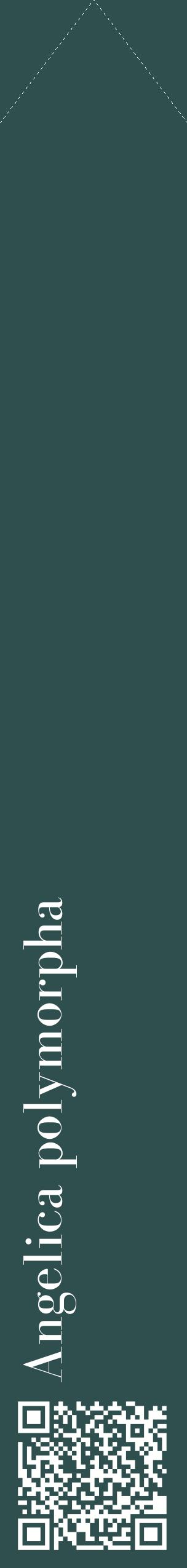 Étiquette de : Angelica polymorpha - format c - style blanche58_simplebod avec qrcode et comestibilité