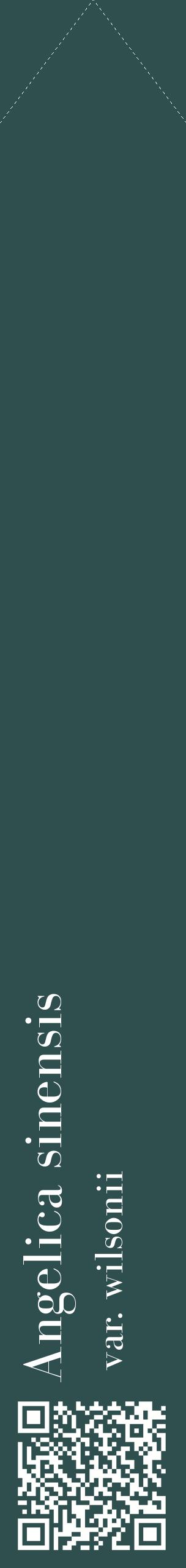 Étiquette de : Angelica sinensis var. wilsonii - format c - style blanche58_simplebod avec qrcode et comestibilité