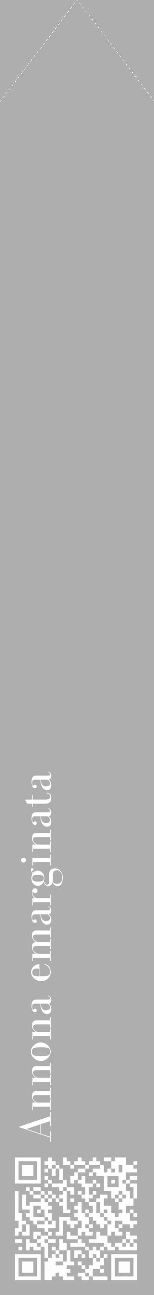 Étiquette de : Annona emarginata - format c - style blanche53_simple_simplebod avec qrcode et comestibilité - position verticale