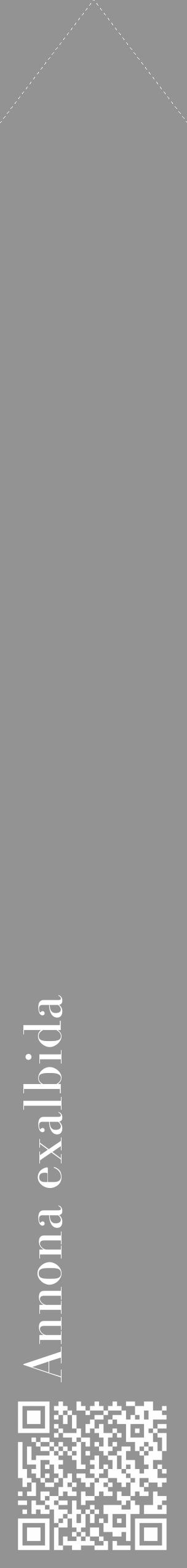 Étiquette de : Annona exalbida - format c - style blanche44_simple_simplebod avec qrcode et comestibilité - position verticale