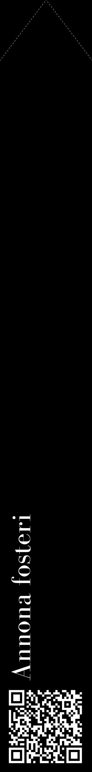 Étiquette de : Annona fosteri - format c - style blanche59_simplebod avec qrcode et comestibilité