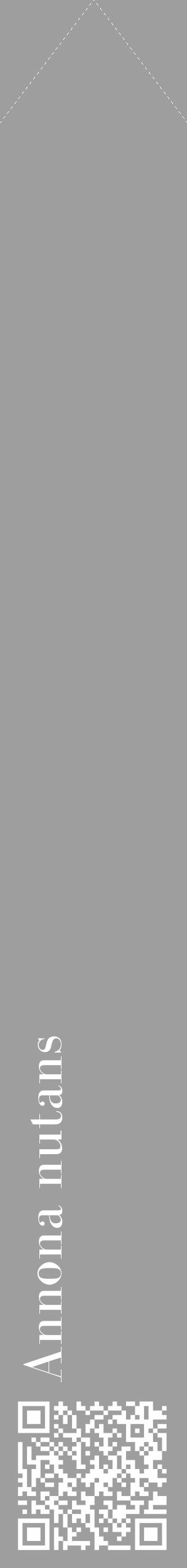 Étiquette de : Annona nutans - format c - style blanche23_simple_simplebod avec qrcode et comestibilité - position verticale