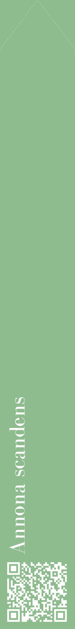 Étiquette de : Annona scandens - format c - style blanche13_simplebod avec qrcode et comestibilité
