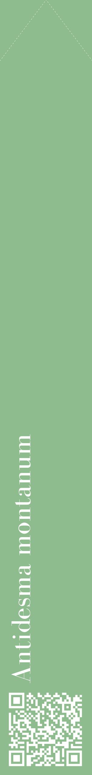 Étiquette de : Antidesma montanum - format c - style blanche13_simplebod avec qrcode et comestibilité