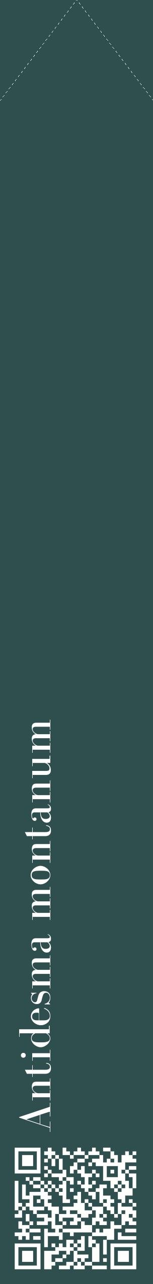 Étiquette de : Antidesma montanum - format c - style blanche58_simplebod avec qrcode et comestibilité