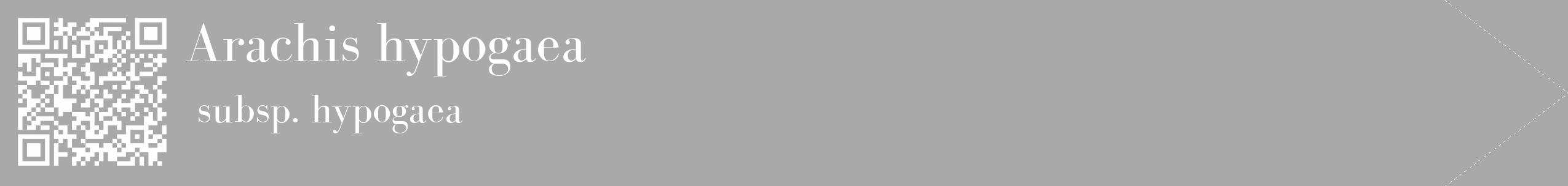 Étiquette de : Arachis hypogaea subsp. hypogaea - format c - style blanche13_simple_simplebod avec qrcode et comestibilité