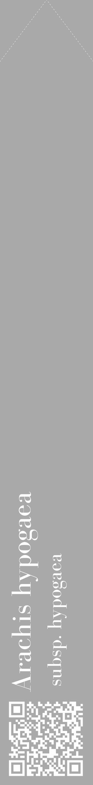 Étiquette de : Arachis hypogaea subsp. hypogaea - format c - style blanche13_simple_simplebod avec qrcode et comestibilité - position verticale