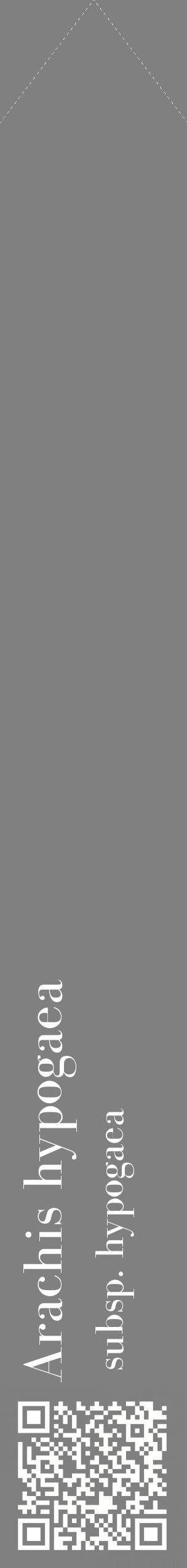 Étiquette de : Arachis hypogaea subsp. hypogaea - format c - style blanche57_simplebod avec qrcode et comestibilité
