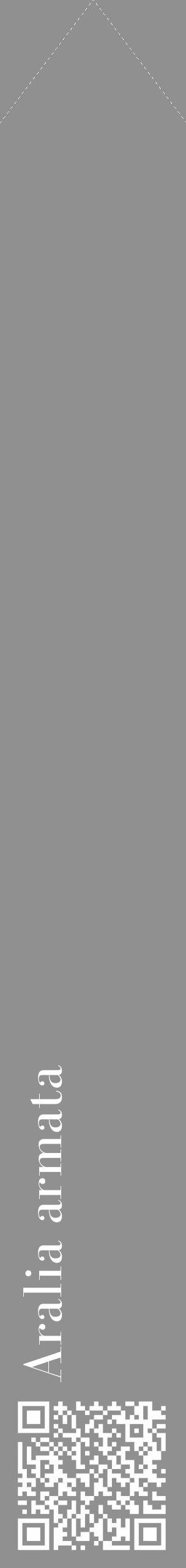 Étiquette de : Aralia armata - format c - style blanche4_simple_simplebod avec qrcode et comestibilité - position verticale