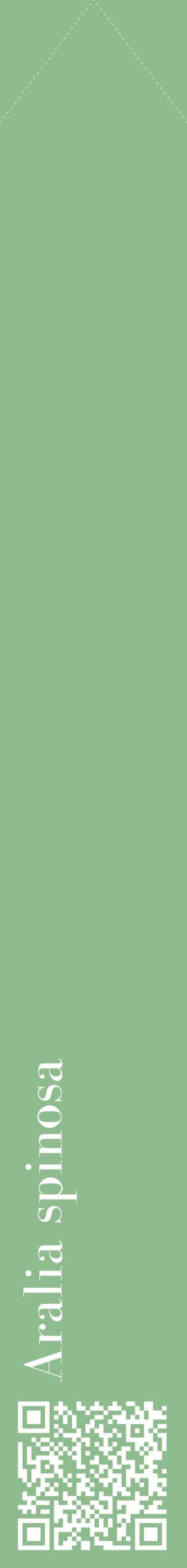 Étiquette de : Aralia spinosa - format c - style blanche13_simplebod avec qrcode et comestibilité