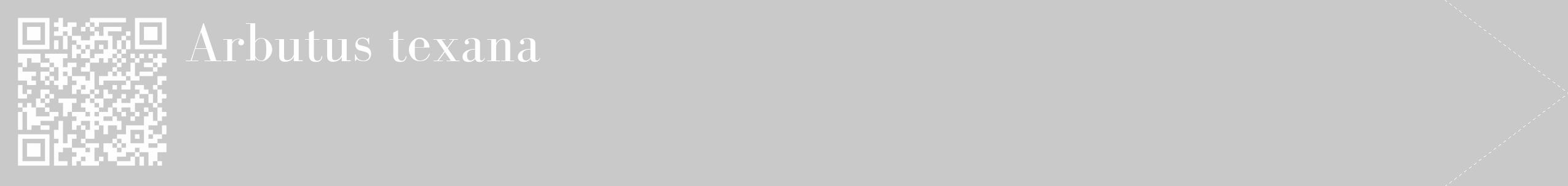 Étiquette de : Arbutus texana - format c - style blanche54_simple_simplebod avec qrcode et comestibilité