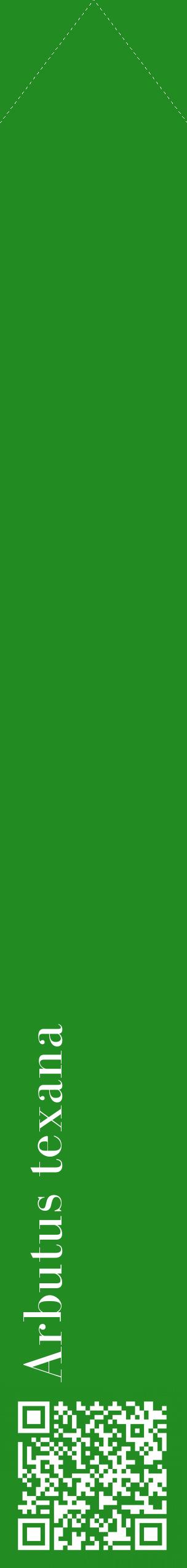 Étiquette de : Arbutus texana - format c - style blanche10_simplebod avec qrcode et comestibilité