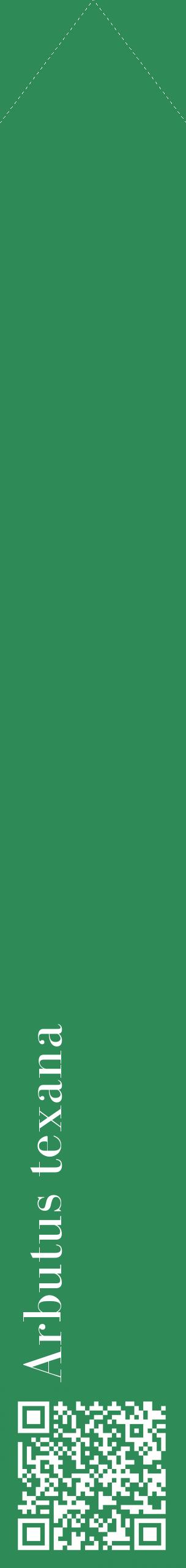 Étiquette de : Arbutus texana - format c - style blanche11_simplebod avec qrcode et comestibilité