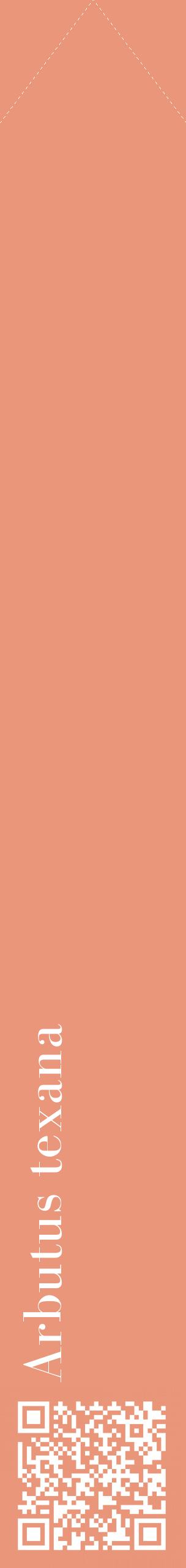 Étiquette de : Arbutus texana - format c - style blanche37_simple_simplebod avec qrcode et comestibilité - position verticale