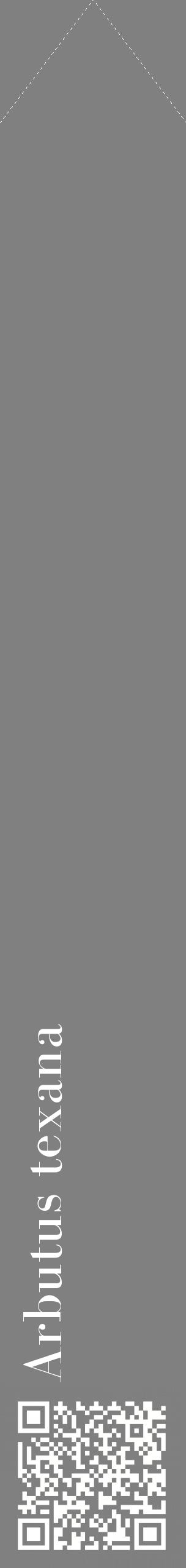 Étiquette de : Arbutus texana - format c - style blanche57_simplebod avec qrcode et comestibilité