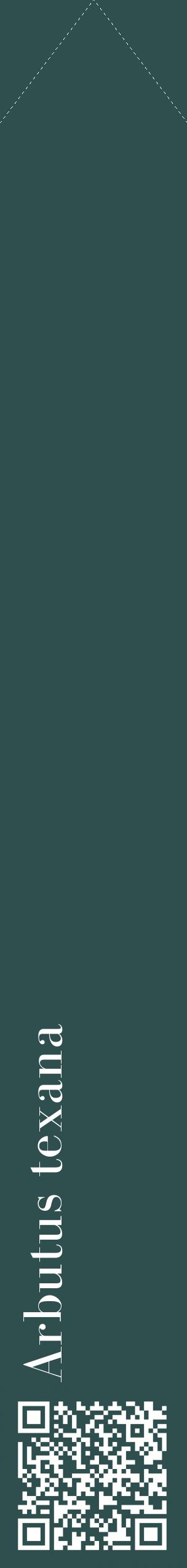 Étiquette de : Arbutus texana - format c - style blanche58_simplebod avec qrcode et comestibilité
