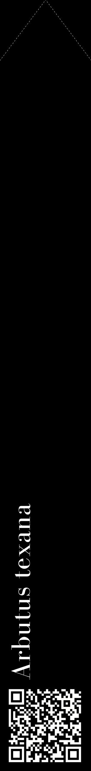 Étiquette de : Arbutus texana - format c - style blanche59_simplebod avec qrcode et comestibilité