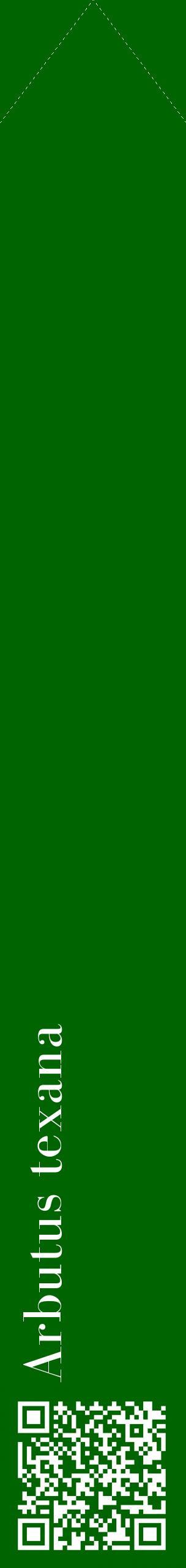 Étiquette de : Arbutus texana - format c - style blanche8_simplebod avec qrcode et comestibilité