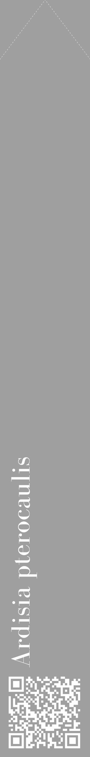 Étiquette de : Ardisia pterocaulis - format c - style blanche24_simple_simplebod avec qrcode et comestibilité - position verticale
