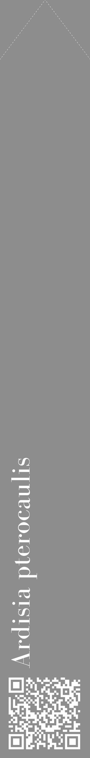 Étiquette de : Ardisia pterocaulis - format c - style blanche2_simple_simplebod avec qrcode et comestibilité - position verticale