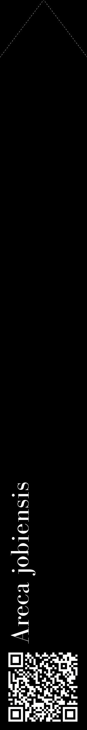 Étiquette de : Areca jobiensis - format c - style blanche59_simplebod avec qrcode et comestibilité