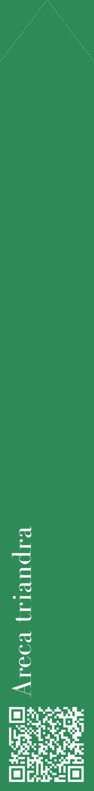 Étiquette de : Areca triandra - format c - style blanche11_simplebod avec qrcode et comestibilité