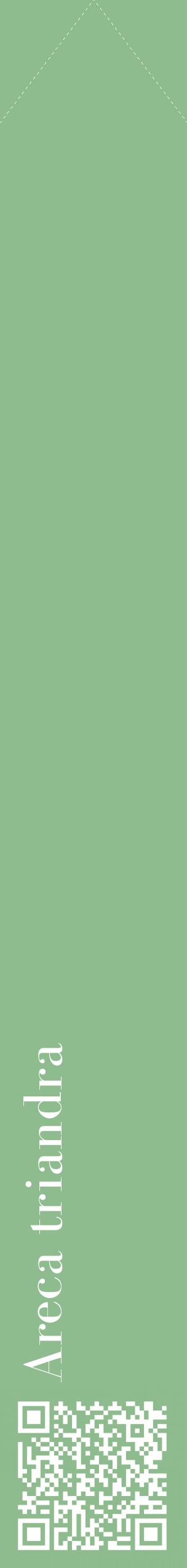 Étiquette de : Areca triandra - format c - style blanche13_simplebod avec qrcode et comestibilité