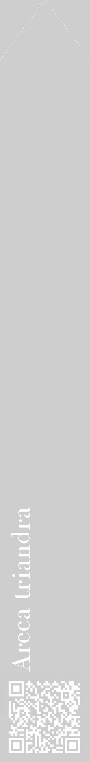Étiquette de : Areca triandra - format c - style blanche17_simple_simplebod avec qrcode et comestibilité - position verticale