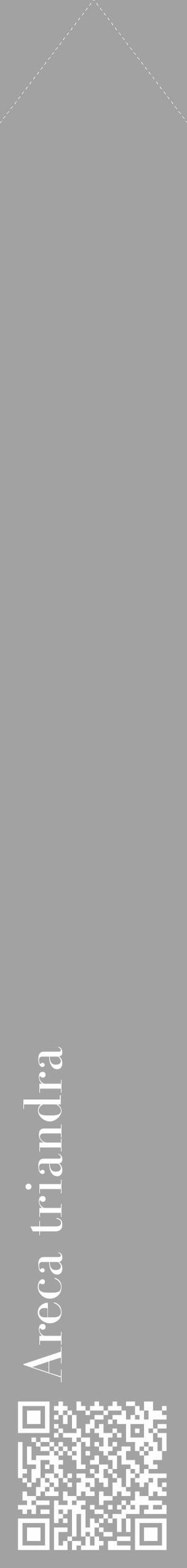 Étiquette de : Areca triandra - format c - style blanche38_simple_simplebod avec qrcode et comestibilité - position verticale