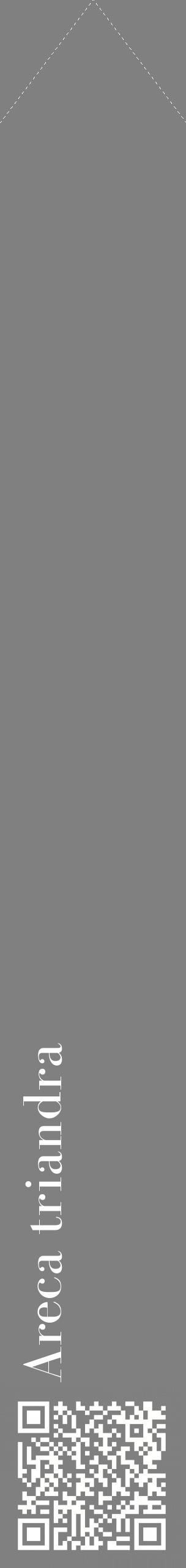Étiquette de : Areca triandra - format c - style blanche57_simplebod avec qrcode et comestibilité