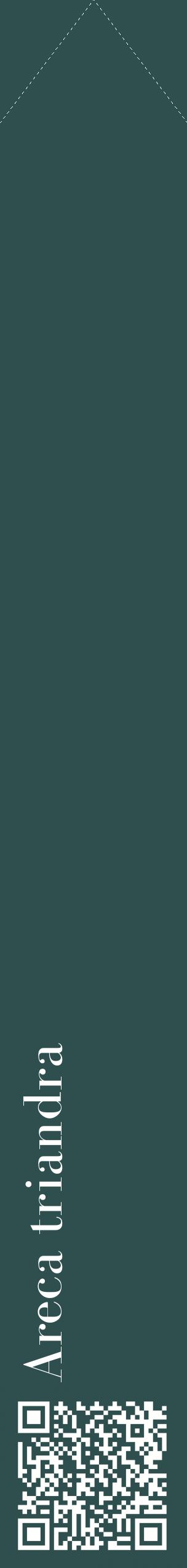 Étiquette de : Areca triandra - format c - style blanche58_simplebod avec qrcode et comestibilité