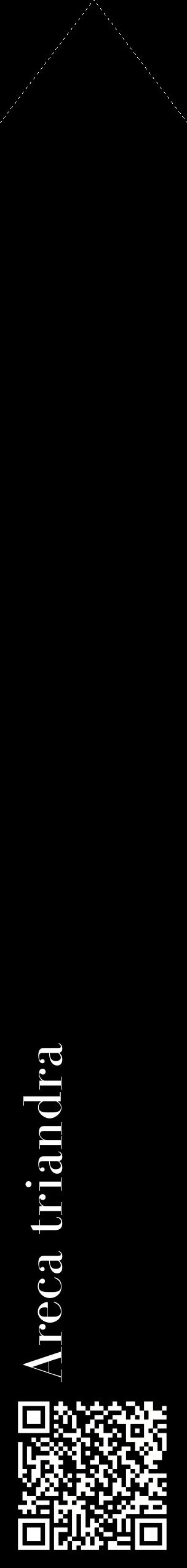 Étiquette de : Areca triandra - format c - style blanche59_simplebod avec qrcode et comestibilité