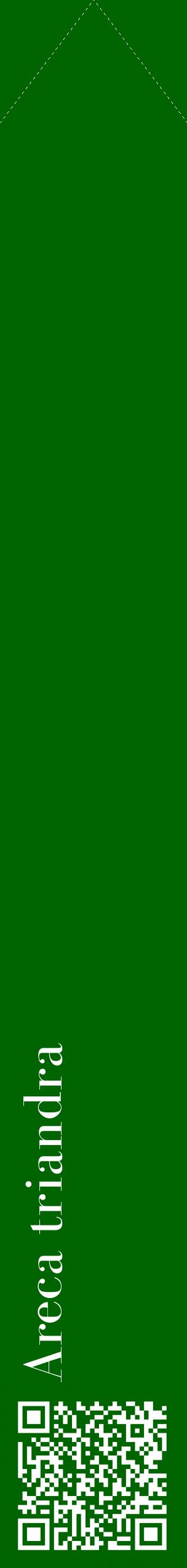 Étiquette de : Areca triandra - format c - style blanche8_simplebod avec qrcode et comestibilité