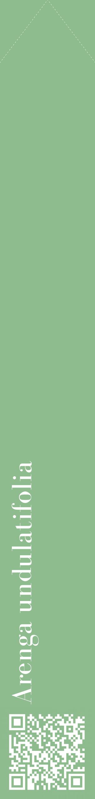 Étiquette de : Arenga undulatifolia - format c - style blanche13_simplebod avec qrcode et comestibilité
