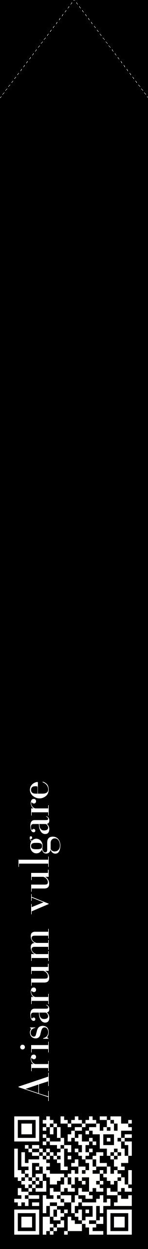 Étiquette de : Arisarum vulgare - format c - style blanche59_simplebod avec qrcode et comestibilité
