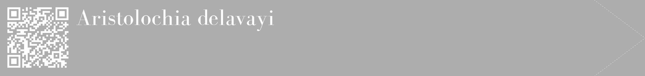 Étiquette de : Aristolochia delavayi - format c - style blanche22_simple_simplebod avec qrcode et comestibilité