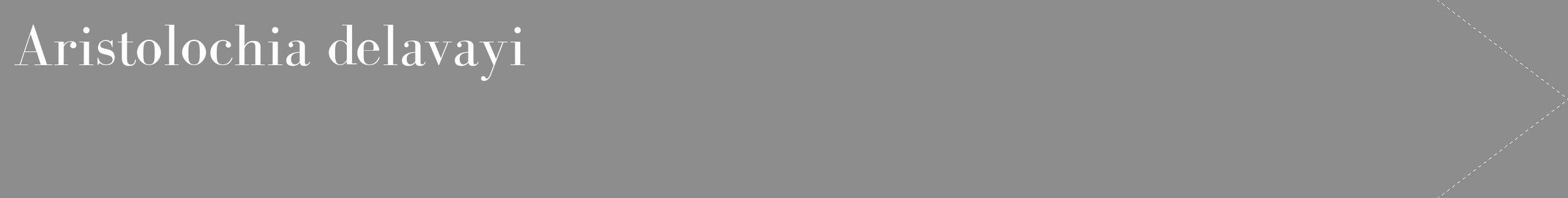 Étiquette de : Aristolochia delavayi - format c - style blanche2_simple_simplebod avec comestibilité