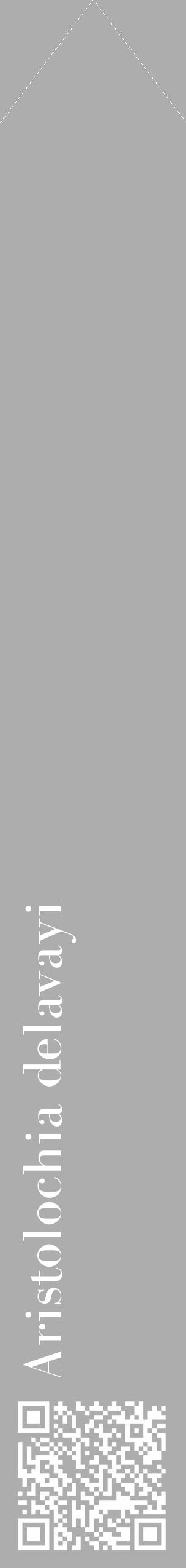 Étiquette de : Aristolochia delavayi - format c - style blanche22_simple_simplebod avec qrcode et comestibilité - position verticale