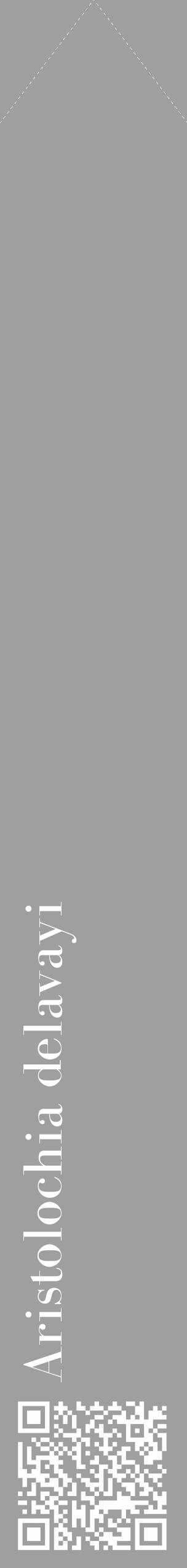 Étiquette de : Aristolochia delavayi - format c - style blanche24_simple_simplebod avec qrcode et comestibilité - position verticale