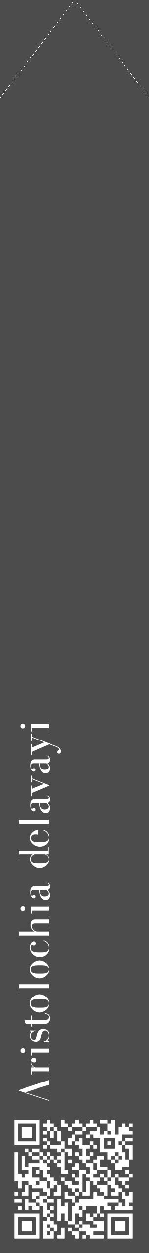 Étiquette de : Aristolochia delavayi - format c - style blanche27_simple_simplebod avec qrcode et comestibilité - position verticale