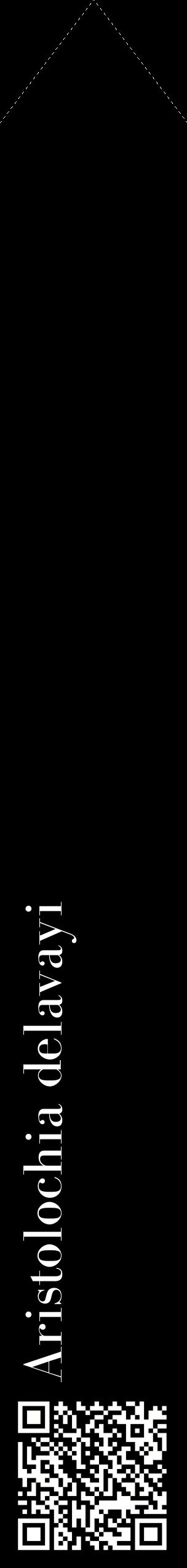 Étiquette de : Aristolochia delavayi - format c - style blanche59_simplebod avec qrcode et comestibilité