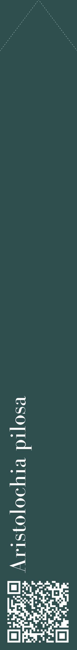 Étiquette de : Aristolochia pilosa - format c - style blanche58_simplebod avec qrcode et comestibilité