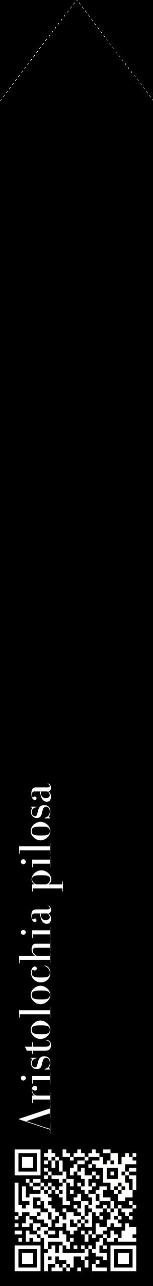 Étiquette de : Aristolochia pilosa - format c - style blanche59_simplebod avec qrcode et comestibilité