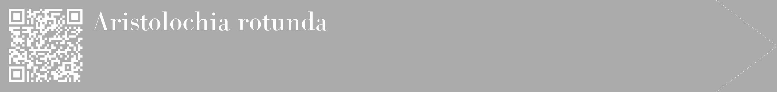 Étiquette de : Aristolochia rotunda - format c - style blanche37_simple_simplebod avec qrcode et comestibilité