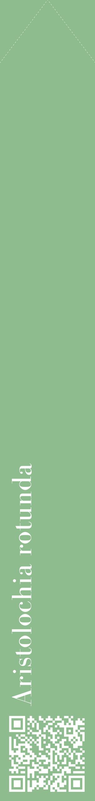 Étiquette de : Aristolochia rotunda - format c - style blanche13_simplebod avec qrcode et comestibilité