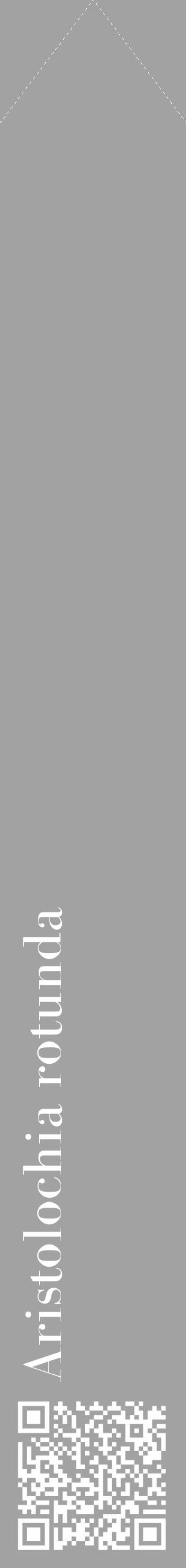 Étiquette de : Aristolochia rotunda - format c - style blanche38_simple_simplebod avec qrcode et comestibilité - position verticale