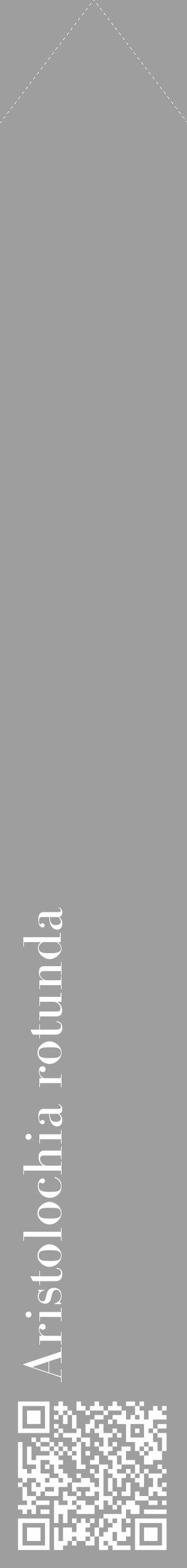 Étiquette de : Aristolochia rotunda - format c - style blanche42_simple_simplebod avec qrcode et comestibilité - position verticale