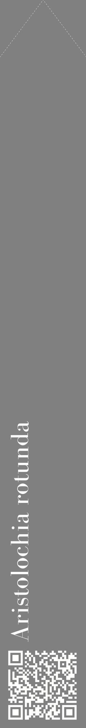 Étiquette de : Aristolochia rotunda - format c - style blanche57_simplebod avec qrcode et comestibilité